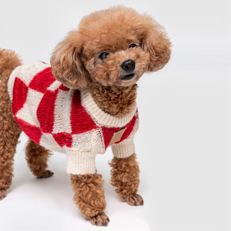 Mono Square Thin Knitwear by OVERGLAM DS (RED CREAM)