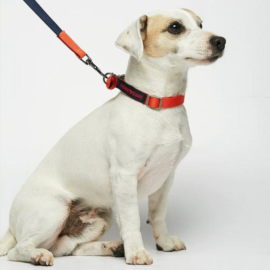 SONIA LEASH by THE PAINTER'S WIFE (RED AND NAVY BLUE)