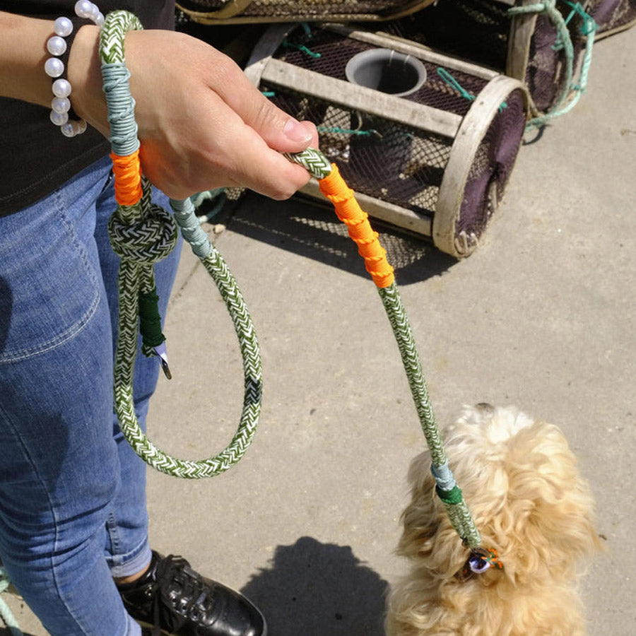 CORME CLASSIC DOG LEASH by THE PAINTER'S WIFE (GREEN)
