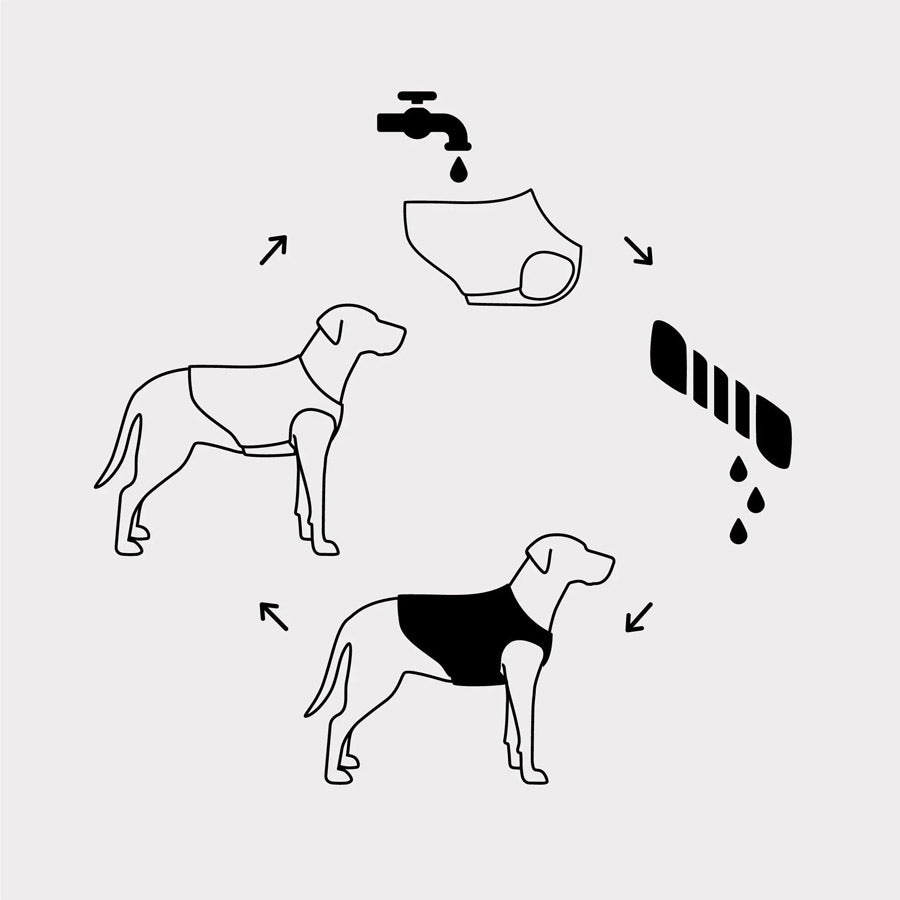 Dog Cooling Vest by GF PET DA