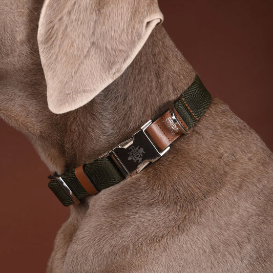 CLASSIC RIBBON COLLAR by FRIDA FIRENZE WS (MILITARY)