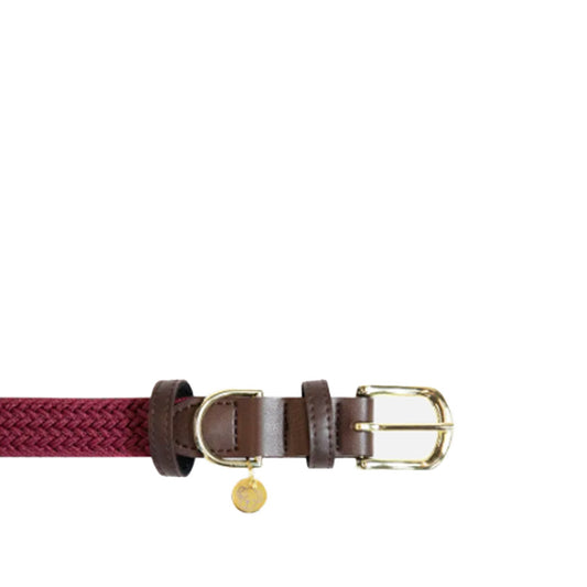 PLAITED NYLON DOG COLLAR by KENTUCKY WS (BORDEAUX)