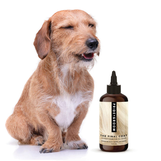 THE FINAL COAT by PRIDE+GROOM WDS (16 OZ)