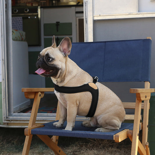 BUCKLE UP EASY HARNESS by CHARLIE'S BACKYARD WS (BLACK)