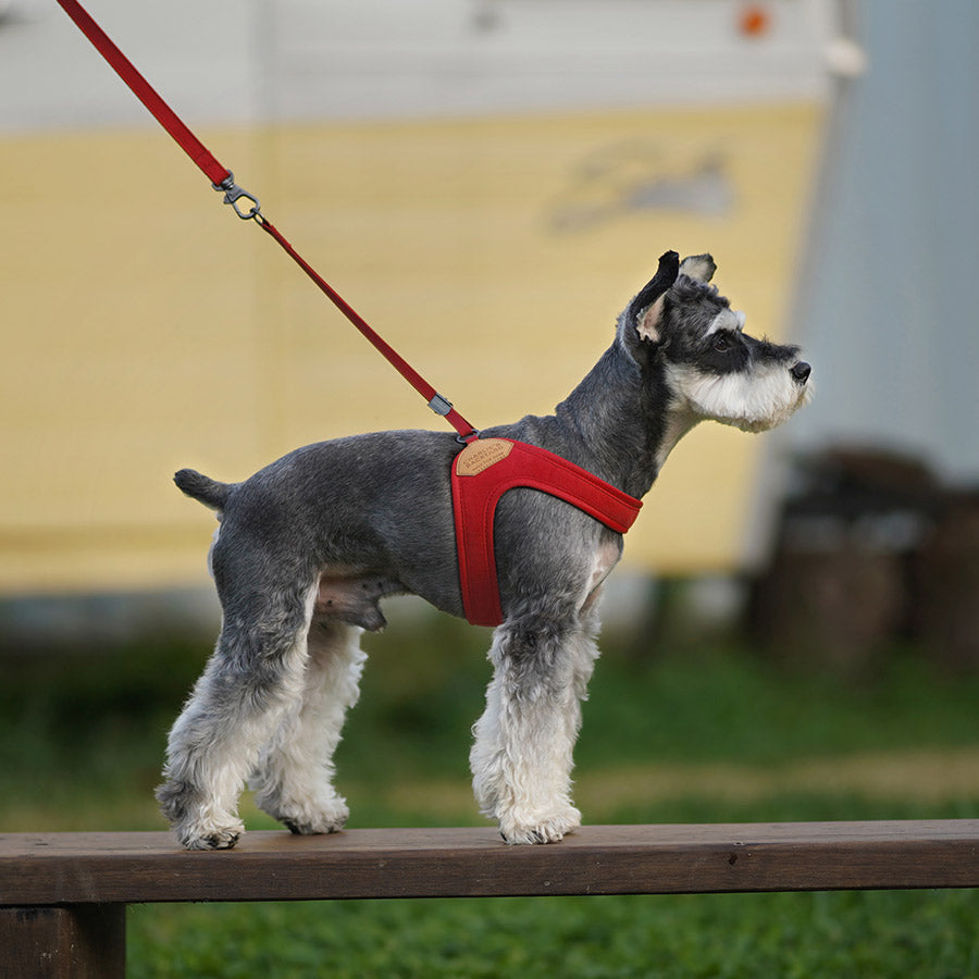 EASY HARNESS by CHARLIE'S BACKYARD WS (RED)