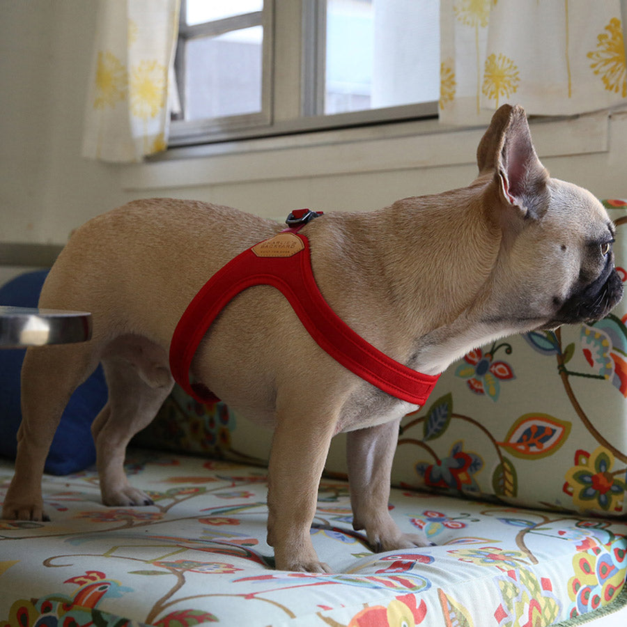 BUCKLE UP EASY HARNESS by CHARLIE'S BACKYARD WS (RED)