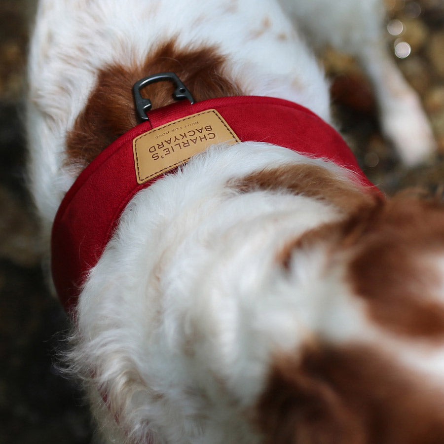 TOWN HARNESS by CHARLIE'S BACKYARD WS (RED)