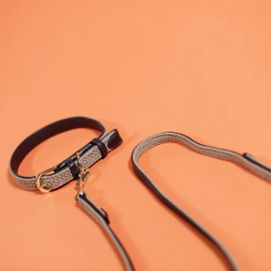 PLAITED NYLON DOG LEASH 200CM by KENTUCKY WS (BEIGE)