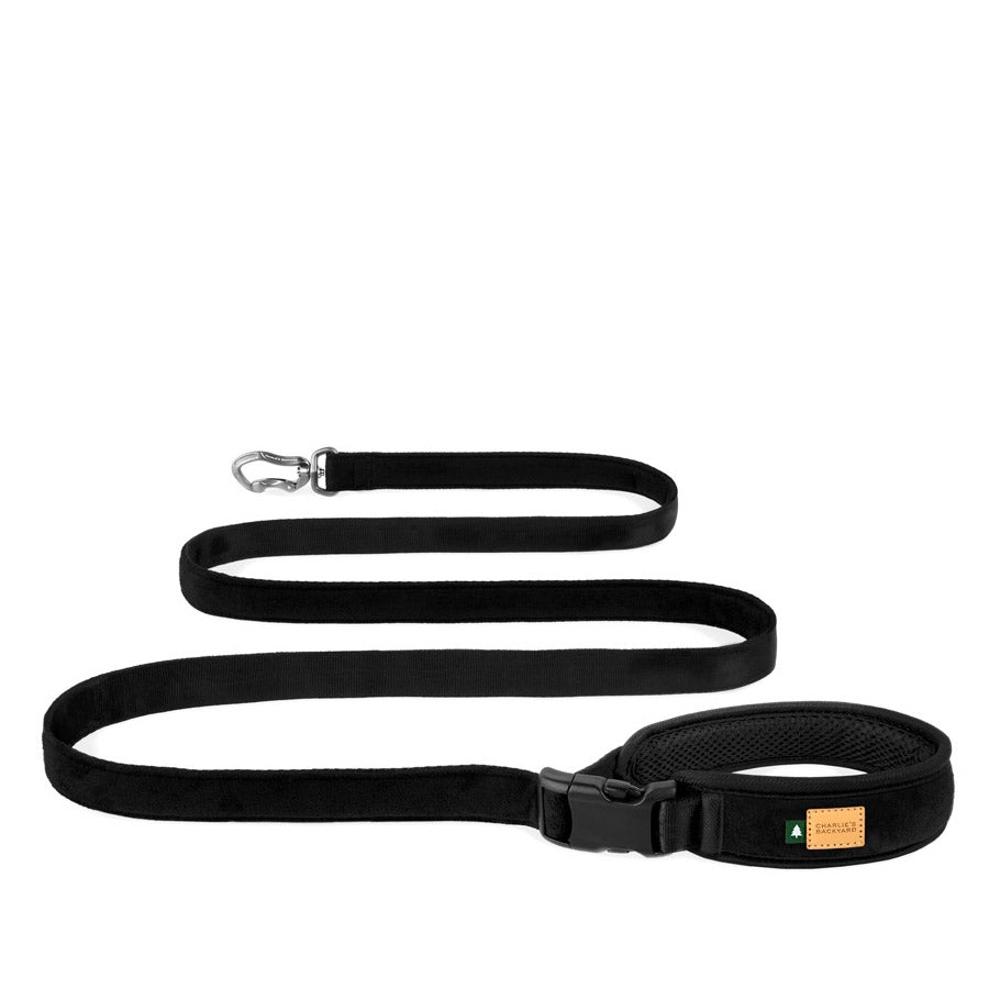 TOWN LEASH by CHARLIE'S BACKYARD WS (BLACK)