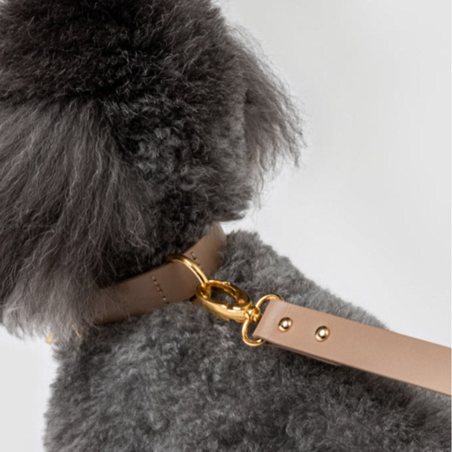 PREMIUM LEATHER LEASH by OVERGLAM WDS (BROWN)