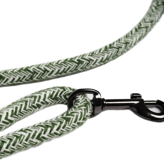 CORME CROSS-BODY DOG LEASH by THE PAINTER'S WIFE (GREEN)