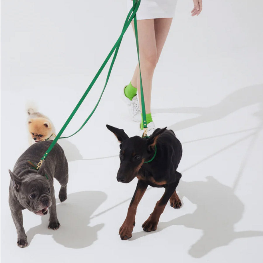 LEATHER LEASH by OVERGLAM (GREEN)