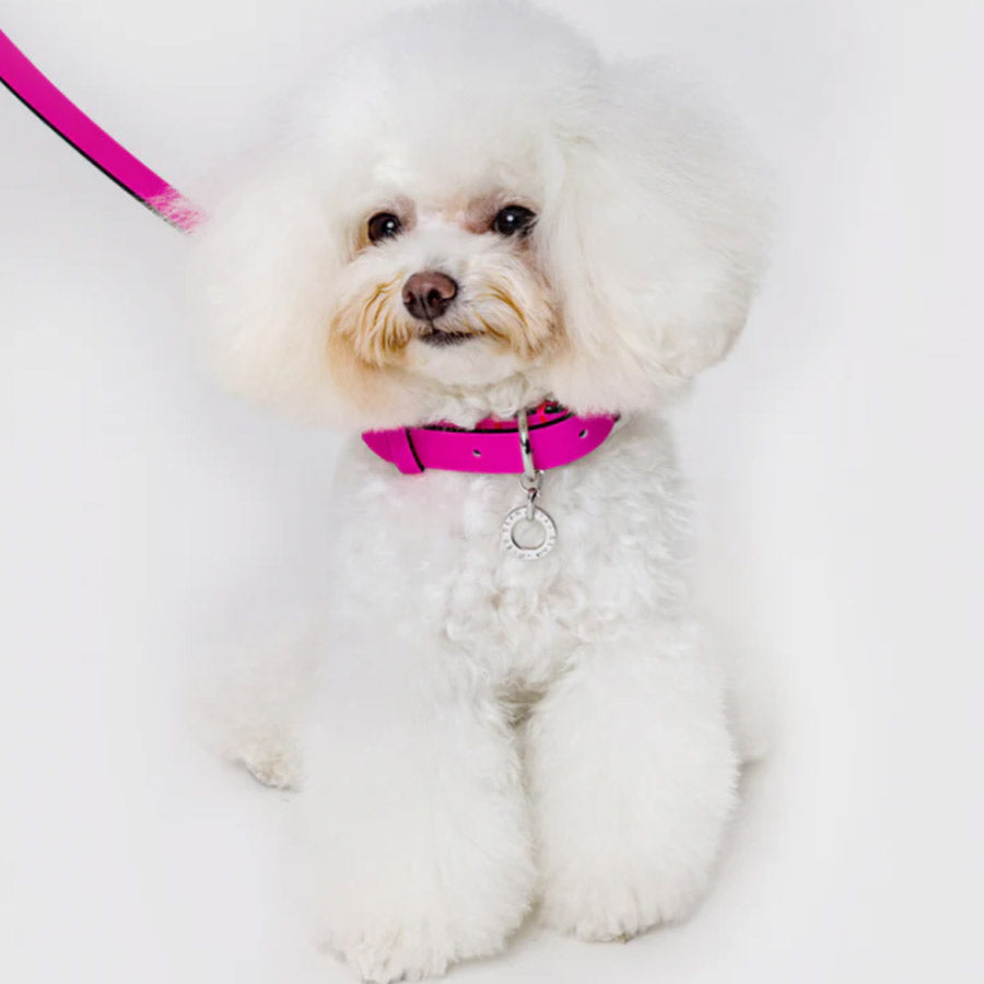 PREMIUM LEATHER LEASH by OVERGLAM WDS (ROSE)