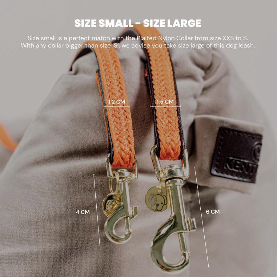 PLAITED NYLON DOG LEASH 200CM by KENTUCKY WS (BORDEAUX)