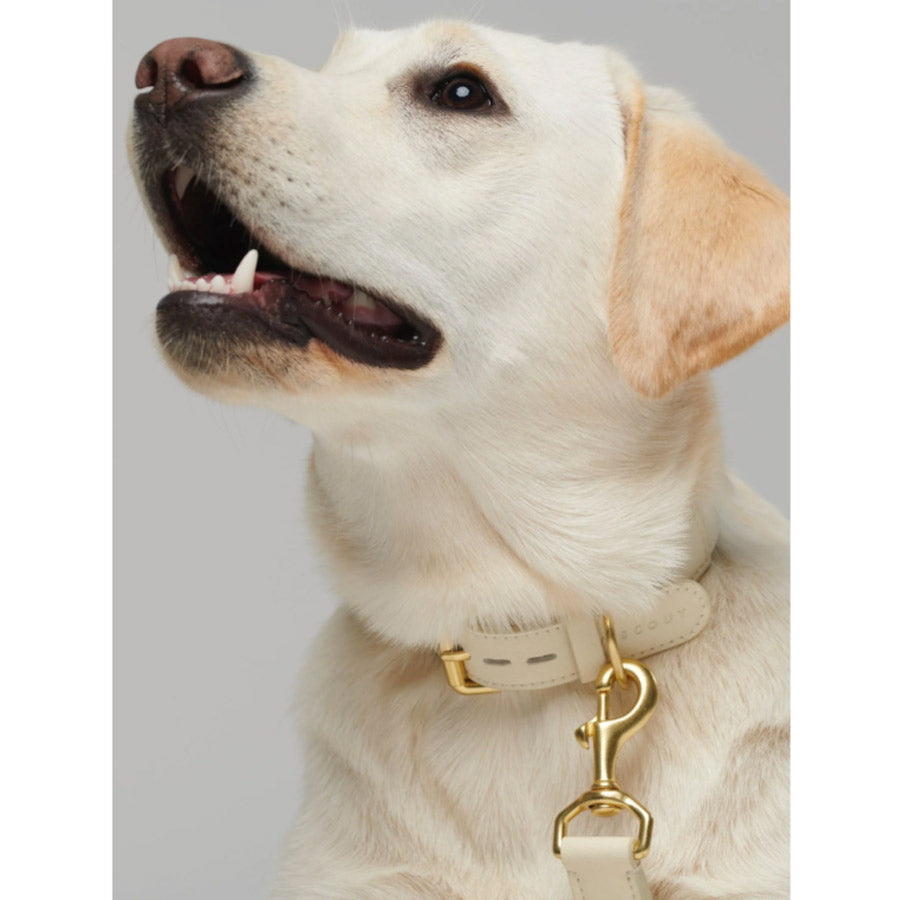 MELA BASIC STANDARD LEASH by BY SCOUT WS (CREAM)