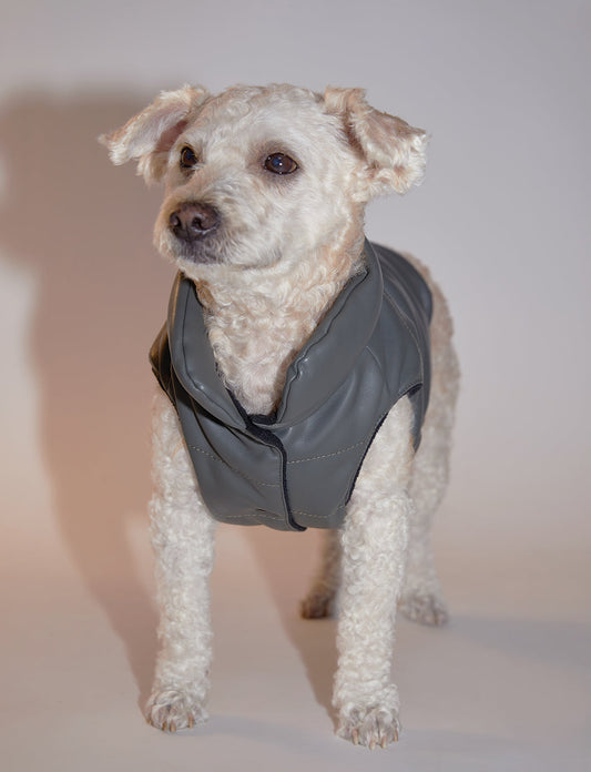 Sleeveless Leather Jacket by OVERGLAM DS (MOSS)