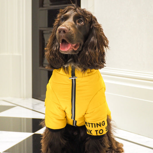 Zip Up Puffer Ski Jacket with Hood by OVERGLAM DS (YELLOW)