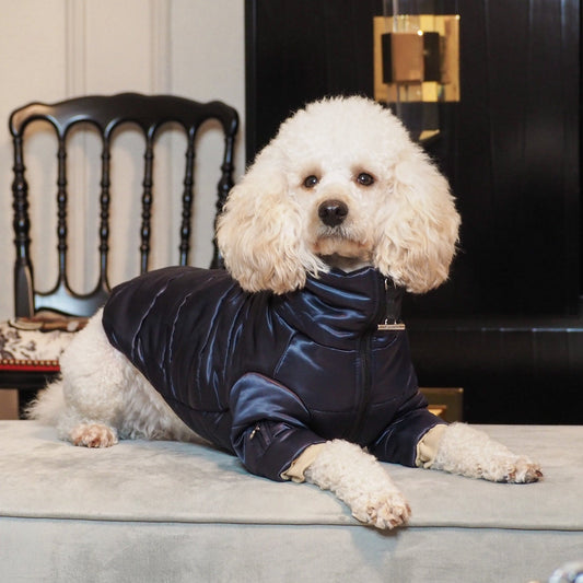 Glossy Zip Up Puffer Ski Jacket by OVERGLAM DS (NAVY)