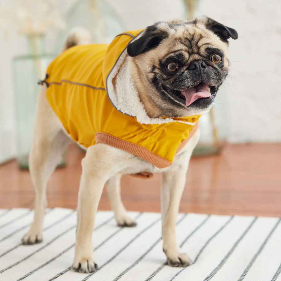INSULATED DOG RAINCOAT by GF PET WDS (YELLOW)