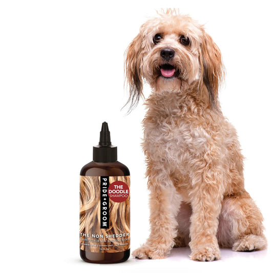 THE NON SHEDDER by PRIDE+GROOM WDS (16 OZ)