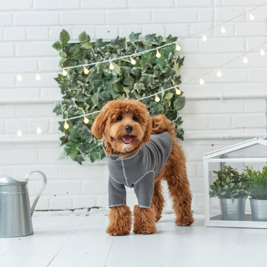 GONDOLA BASE LAYER FOR DOGS by GF PET WDS (CHARCOAL)