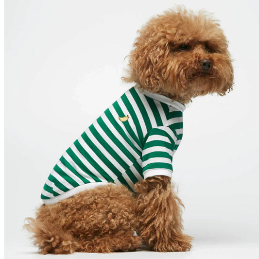 DAVID ORGANIC COTTON DOG T-SHIRT by THE PAINTER'S WIFE (GREEN)