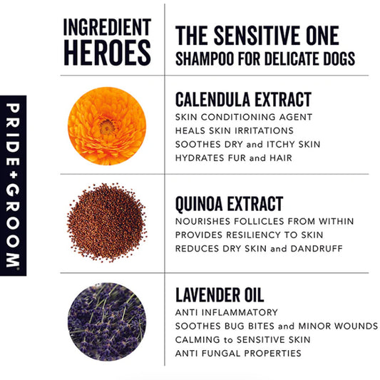 THE SENSITIVE ONE by PRIDE+GROOM WDS (1 GALLON)