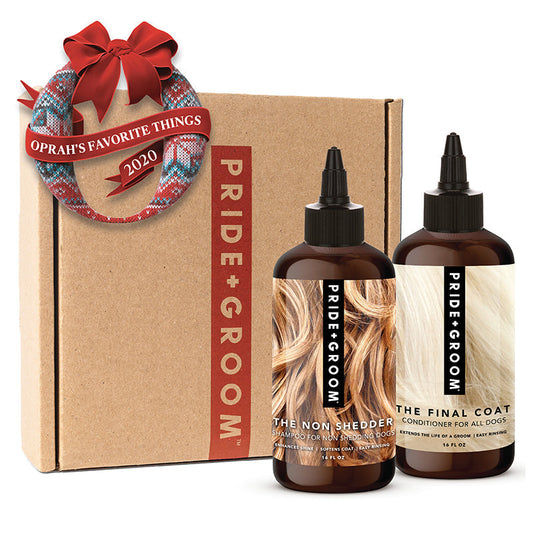 The Essential Guide to Coat Care with Pride + Groom