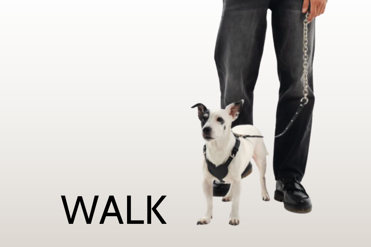 WALK