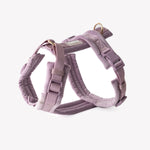 Load image into Gallery viewer, Lilac - Velvet Dog Harness
