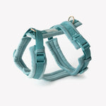Load image into Gallery viewer, Blue - Velvet Dog Harness
