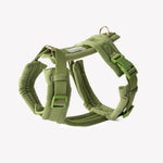 Load image into Gallery viewer, Green - Velvet Dog Harness
