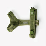 Load image into Gallery viewer, Green - Velvet Dog Harness
