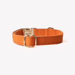 Load image into Gallery viewer, &#39;Terracotta&#39; - Canvas Dog Collar

