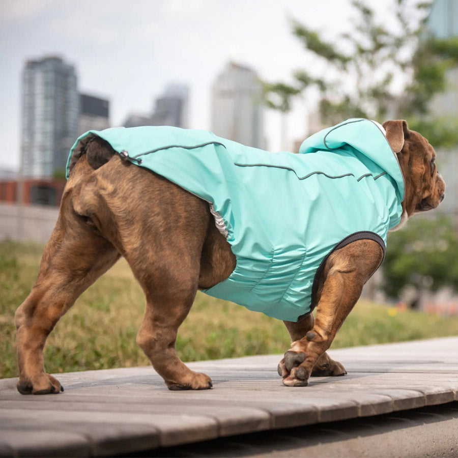 Reversible Dog Raincoat By GF PET DS