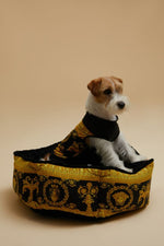 Load image into Gallery viewer, Kennel with baroque pattern by VERSACE
