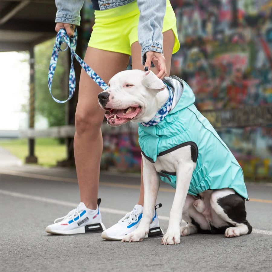 Reversible Dog Raincoat By GF PET DS