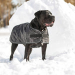 Load image into Gallery viewer, Blanket Dog Jacket by GF PET DS
