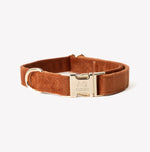 Load image into Gallery viewer, &#39;Clay&#39; - Velvet Dog Collar
