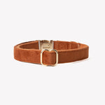 Load image into Gallery viewer, &#39;Clay&#39; - Velvet Dog Collar
