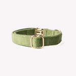 Load image into Gallery viewer, &#39;Green&#39; - Velvet Dog Collar
