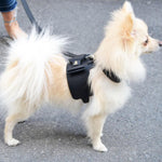 Load image into Gallery viewer, Bijou Dog Harness By Moshiqa DS (BLACK)
