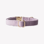Load image into Gallery viewer, &#39;Lilac&#39; - Velvet Dog Collar
