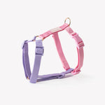 Load image into Gallery viewer, Lavender and Pink - Dog Harness
