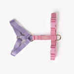 Load image into Gallery viewer, Lavender and Pink - Dog Harness
