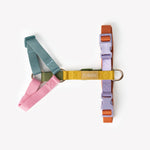 Load image into Gallery viewer, Rainbow - Dog Harness
