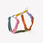 Load image into Gallery viewer, Rainbow - Dog Harness
