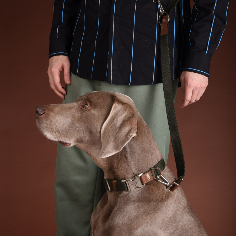 CLASSIC RIBBON COLLAR  by FRIDA FIRENZE WS (MILITARY)