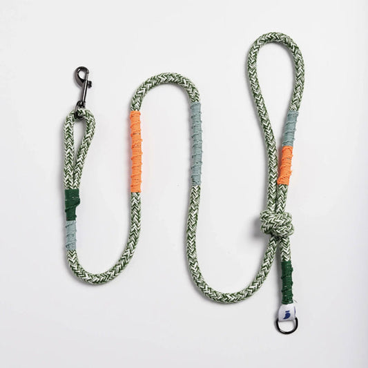 CORME CLASSIC DOG LEASH by THE PAINTER'S WIFE (GREEN)