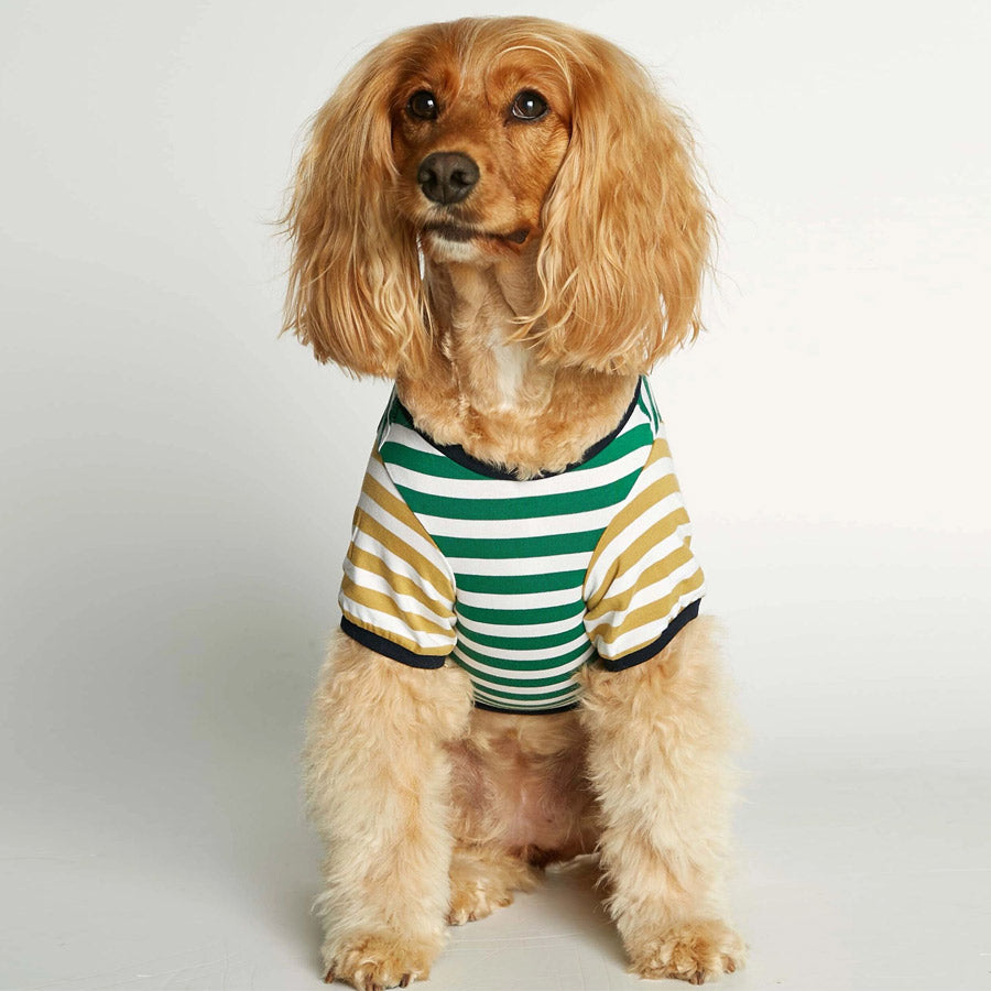 DAVID ORGANIC COTTON DOG T-SHIRT by THE PAINTER'S WIFE (YELLOW AND GREEN STRIPED)